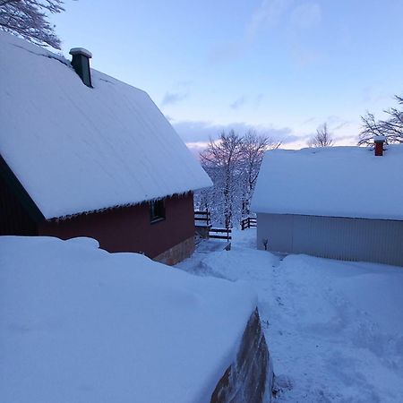 Vila Darija Žabljak Buitenkant foto