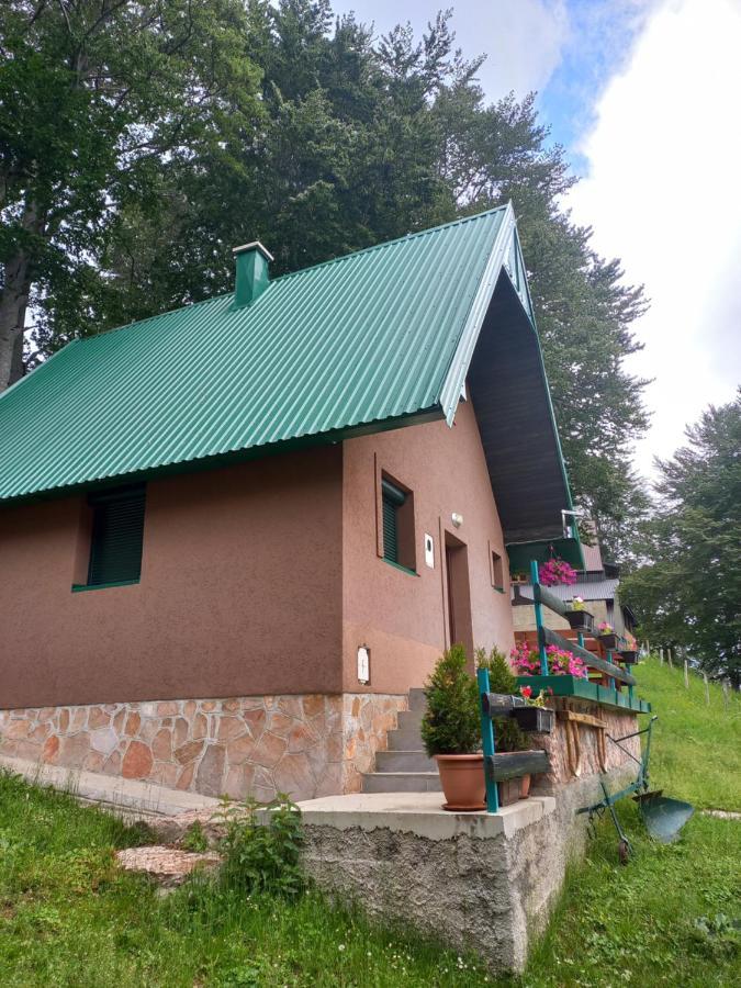 Vila Darija Žabljak Buitenkant foto