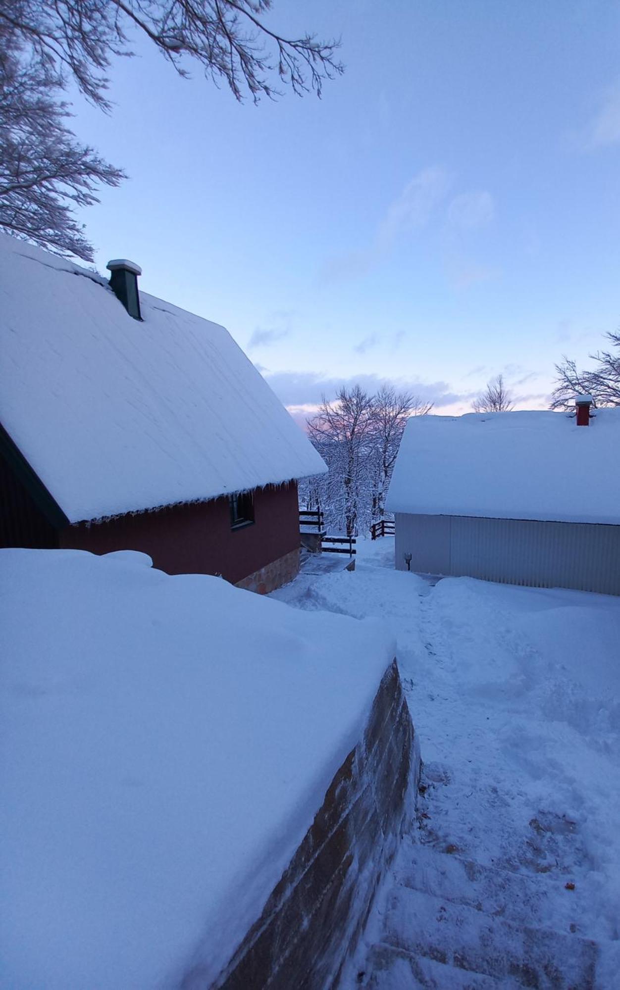 Vila Darija Žabljak Buitenkant foto